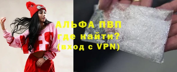 прущие грибы Армянск
