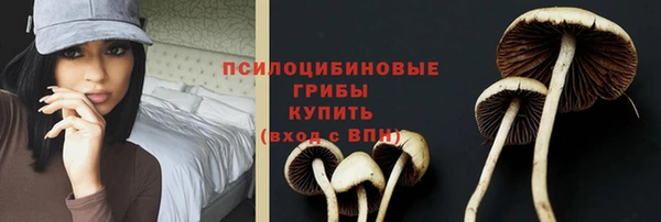 кристаллы Богородицк