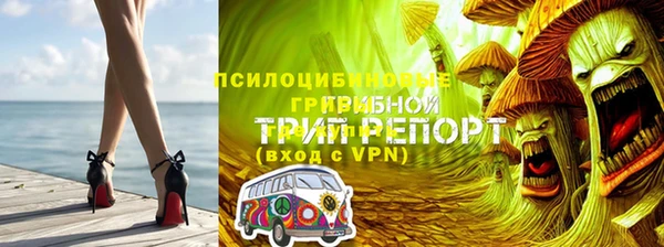 jwh Аркадак