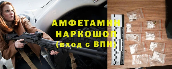 прущие грибы Армянск