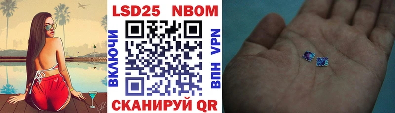 mega как войти  Большой Камень  Марки 25I-NBOMe 1,8мг  даркнет сайт 