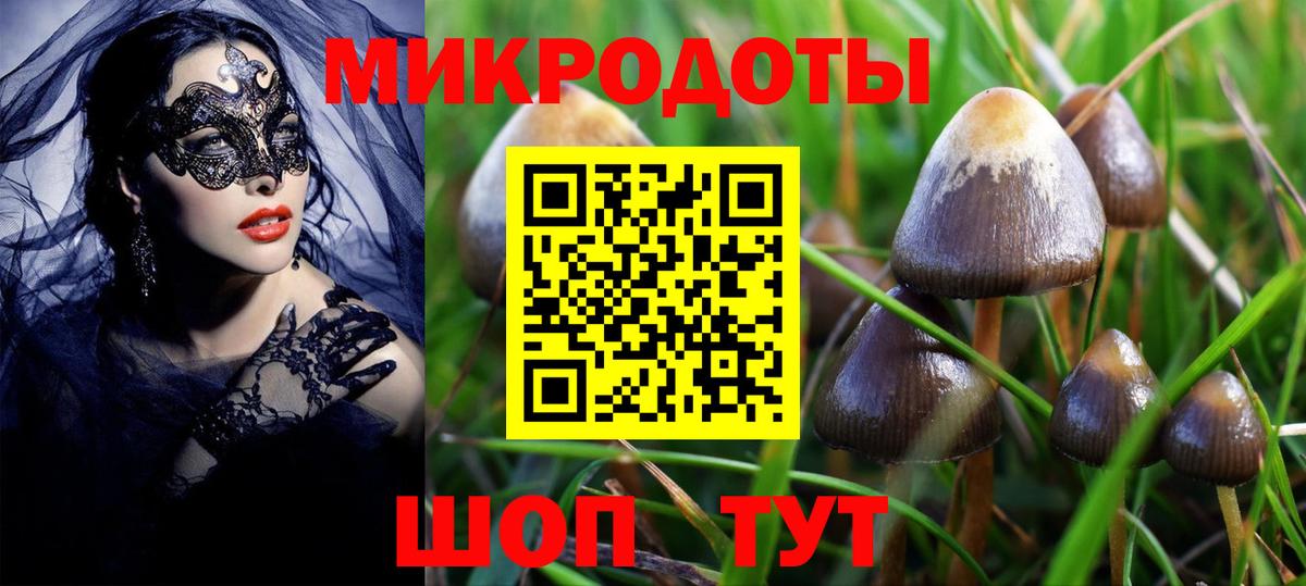Большой Камень  Псилоцибиновые грибы Cubensis  Вход с VPN 